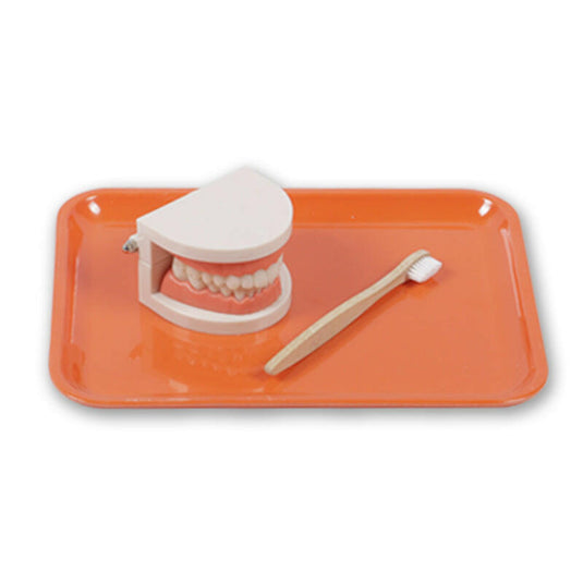 Montessori Teaching Aids Children's Brushing Set: Educational Tooth Care Toys